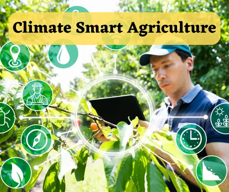 Climate Smart Agriculture: Securing Pakistan’s Agricultural Future