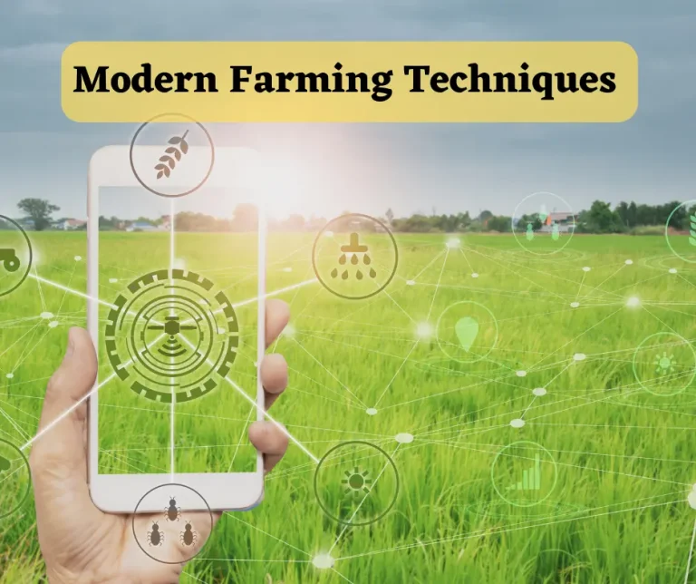 Modern Farming Techniques – Revolutionizing Agriculture