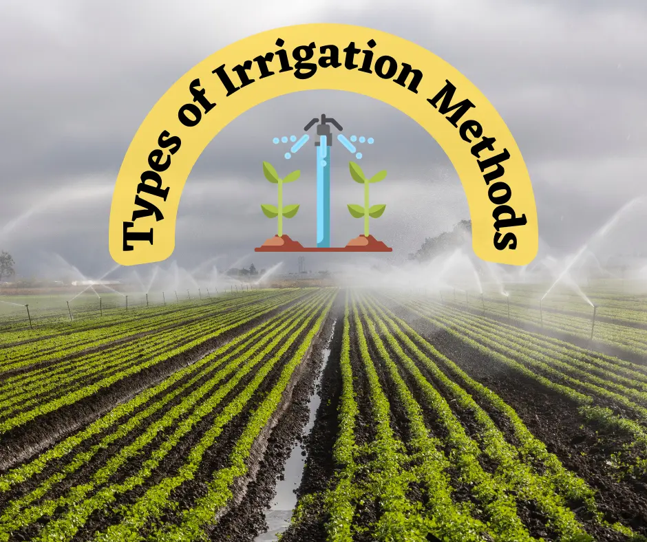 Types of Irrigation Methods